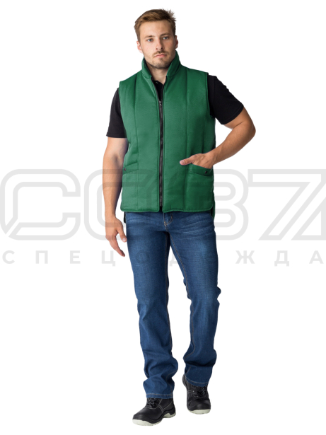 Базис-зел.-1-лого